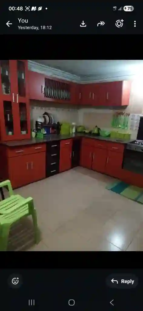 Before – kitchen