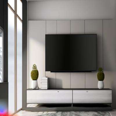 Modern TV Unit Design in White and Grey Laminate with a Matte Finish