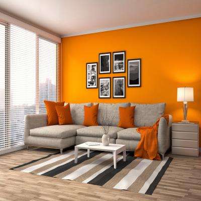 Soothing Orange Living Room Decor