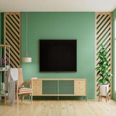 Industrial TV Unit Design in Green With Wooden Fixtures
