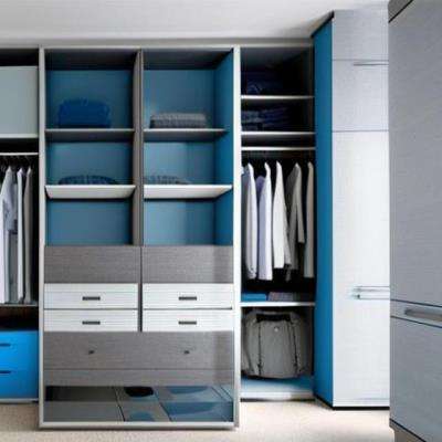 Luxurious Blue and Grey Wardrobe Design