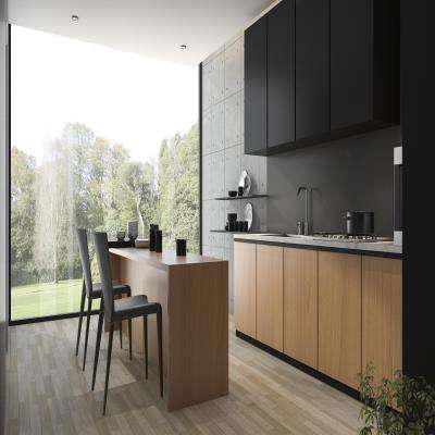 Black Matte Modern Kitchen Style