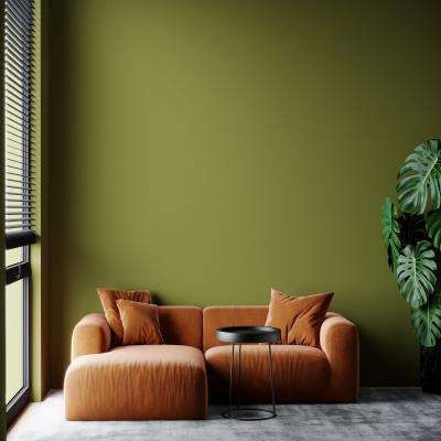 Simple Olive Green Living Room