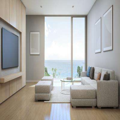 Modern Airy Beach Living Room