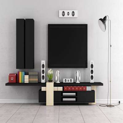 Contemporary TV Unit Design in Black