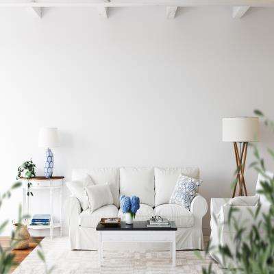 Modern Living Room in White