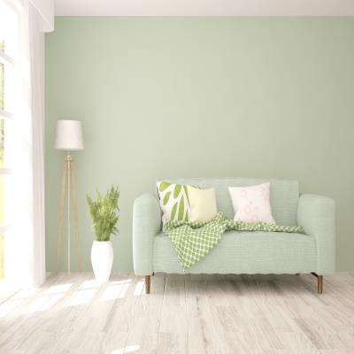Minty Green Living Room Deisgn With Floral Cushions