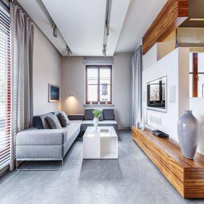 Minimalistic Long Living Room