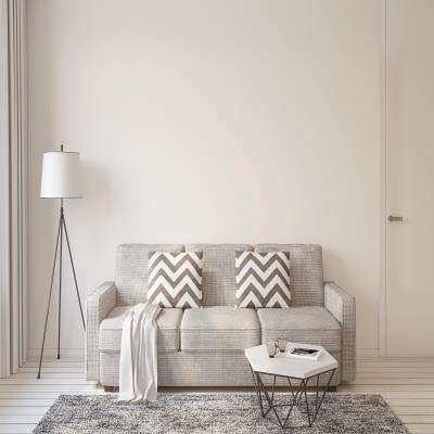 Calming White Living Room Design With A Surface Rug and Lamp