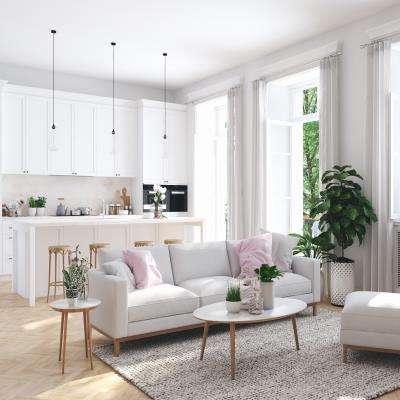 Kitchen and Living Room Design in White