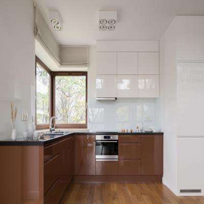 Modern Brown Kitchen in Glossy Finish