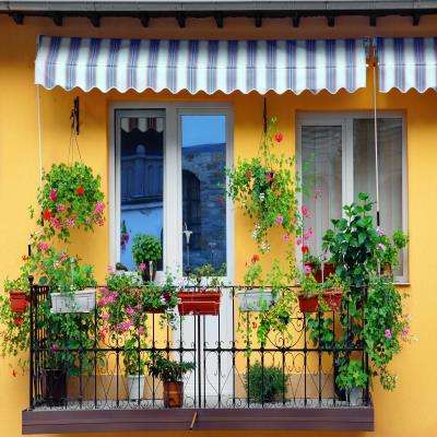 Yellow and Blue Balcony Design