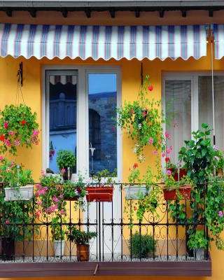 Yellow and Blue Balcony Design