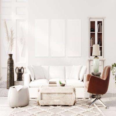 Sophisticated White Living Room