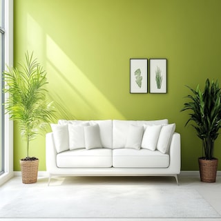 Minimal Light Green Living Room Wall Paint Design