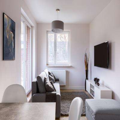 Small Yet Cozy Studio Type Living Room Design