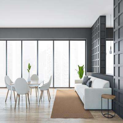 Minimalistic Monochromatic Living Room Design
