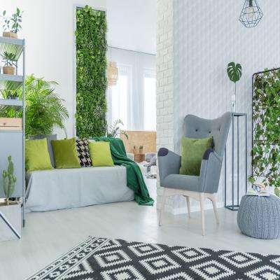 White and Green Hued Living Room Design With Indoor Plants
