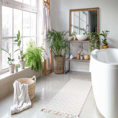 Classic Bathroom with Low Maintainance Indoor Plants