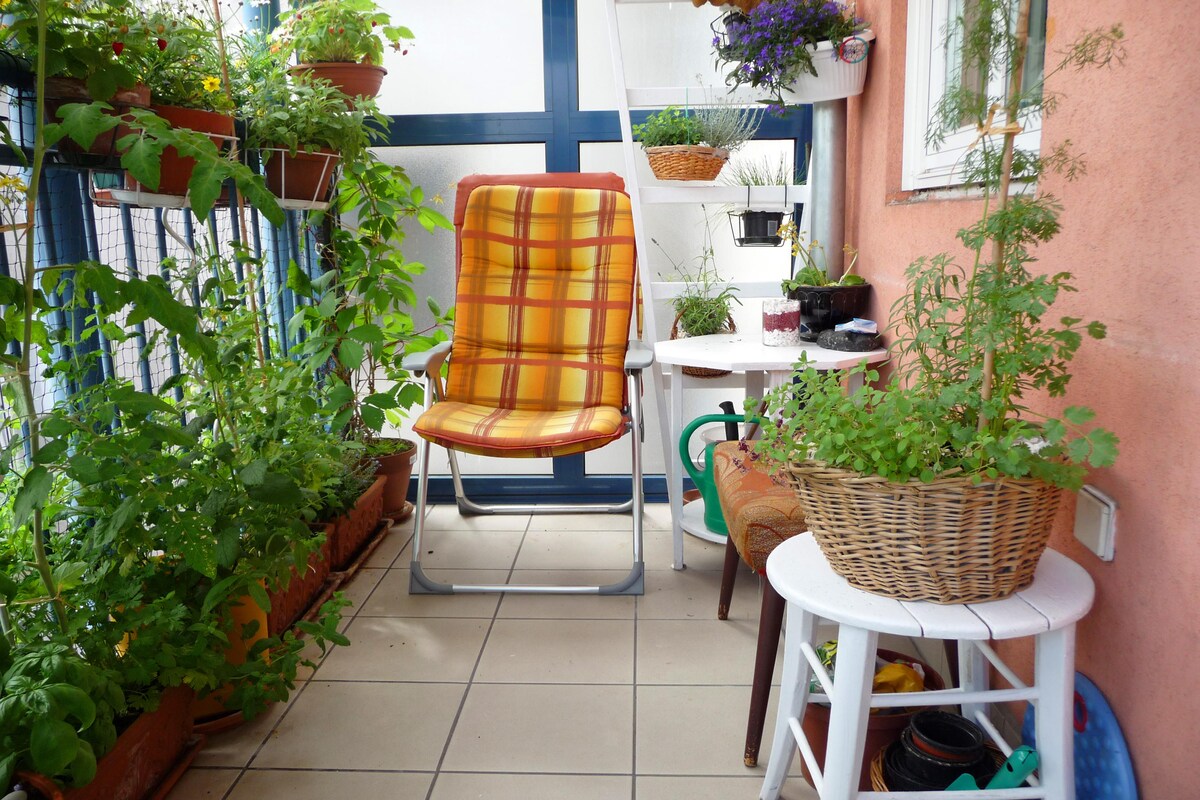 Elegant Modern Balcony Design with Wall Planters Elegant Modern Balcony Design with Wall Planters