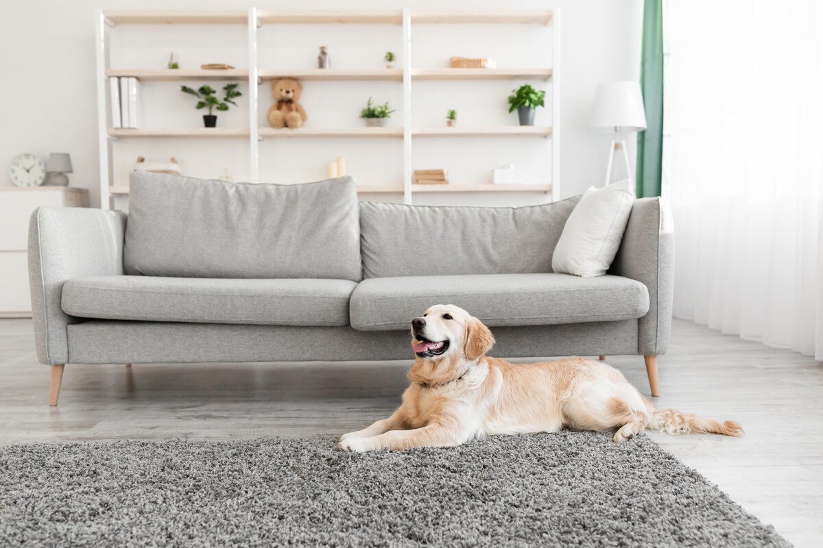 cute living room cute living room