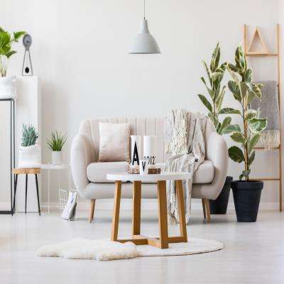 Wooden Centre piece in Living Room Design With Indoor Plants