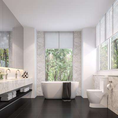 Modern Bathroom Design in Black and White
