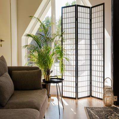 Living Room Design Featuring A Room Divider