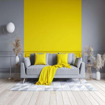 Contrasting Grey and Yellow Living Room