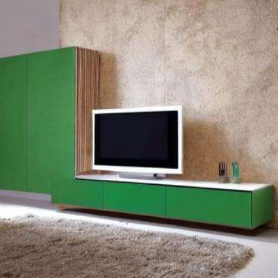 Rustic TV Unit Design in Green Laminate with Beige Walls