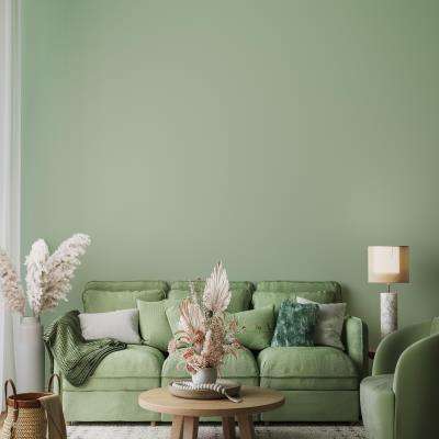 Idealistic Living Room Design in Green With A Surface Rug