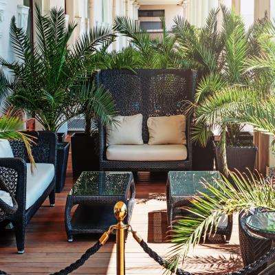 Elegant Green Toned Balcony Design