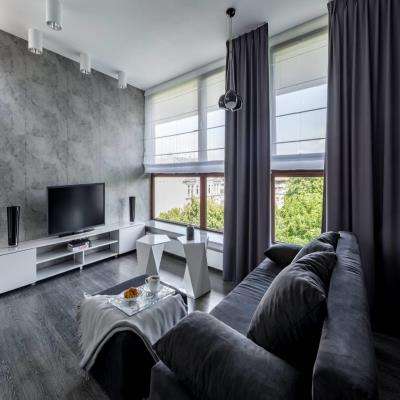 Contemporary Grey Themed Living Room