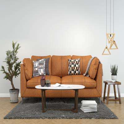 Brown Leather Couch Living Room