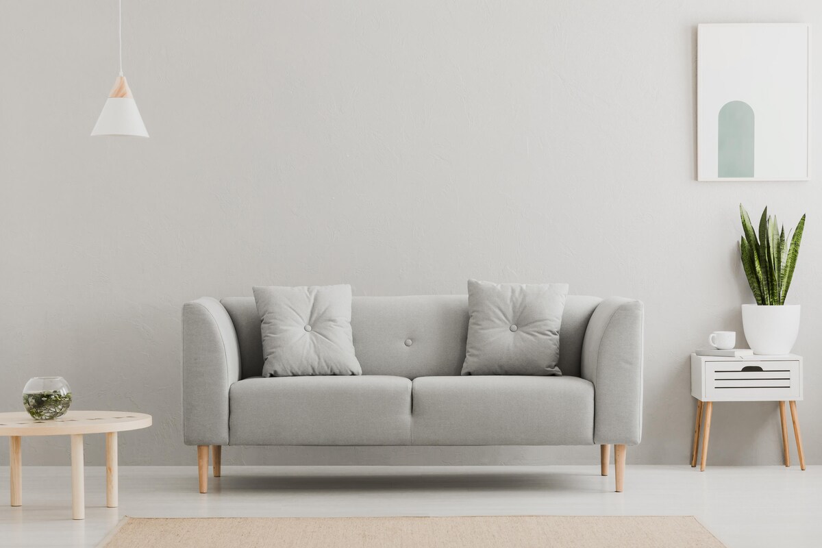 Super Minimalistic Living Room Design With Snake Plant In Corner Super Minimalistic Living Room Design With Snake Plant In Corner