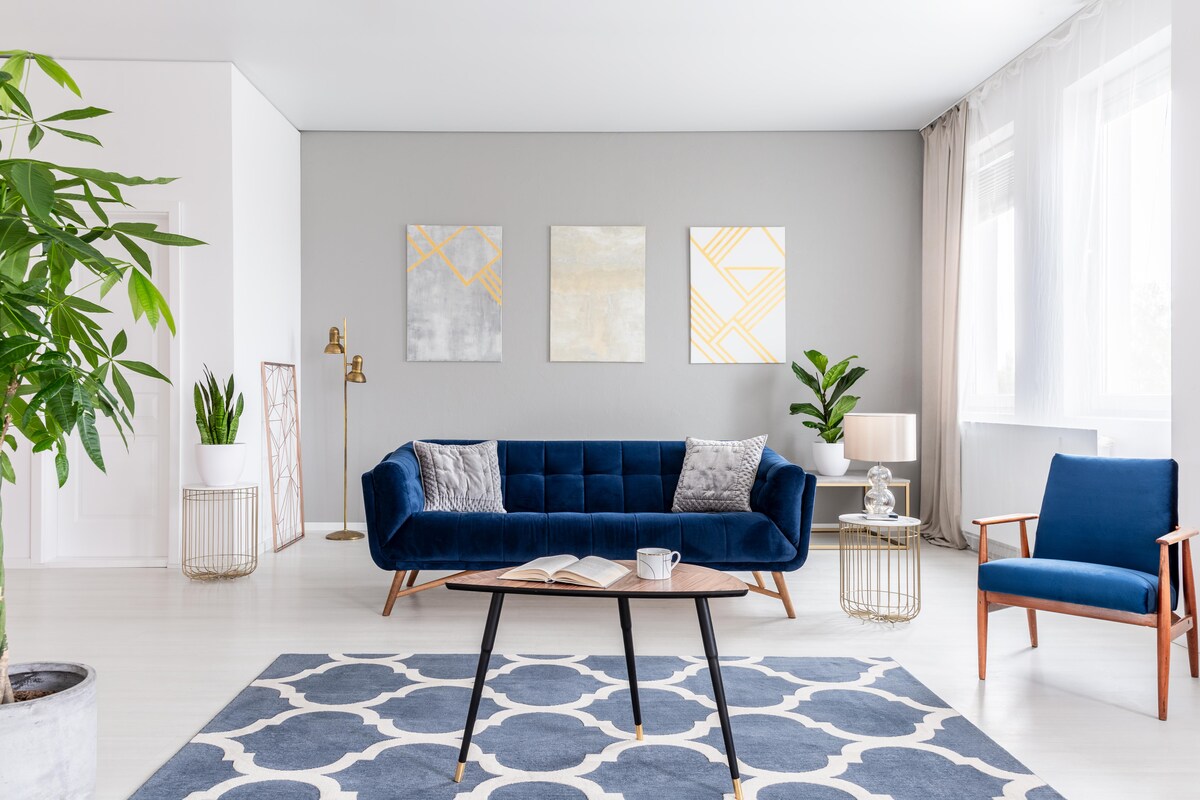 Navy Blue Couch Living Room Design With Indoor Plants And Abstract Wall Frames Navy Blue Couch Living Room Design With Indoor Plants And Abstract Wall Frames