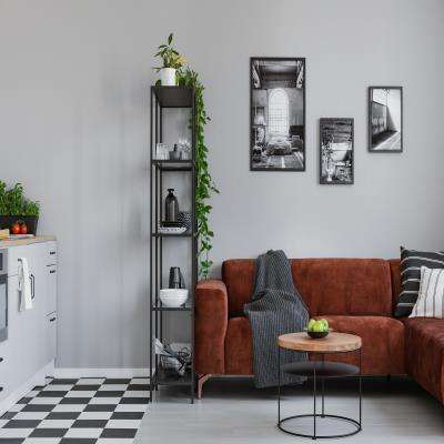 Monochromatic Small Apartment Living Room