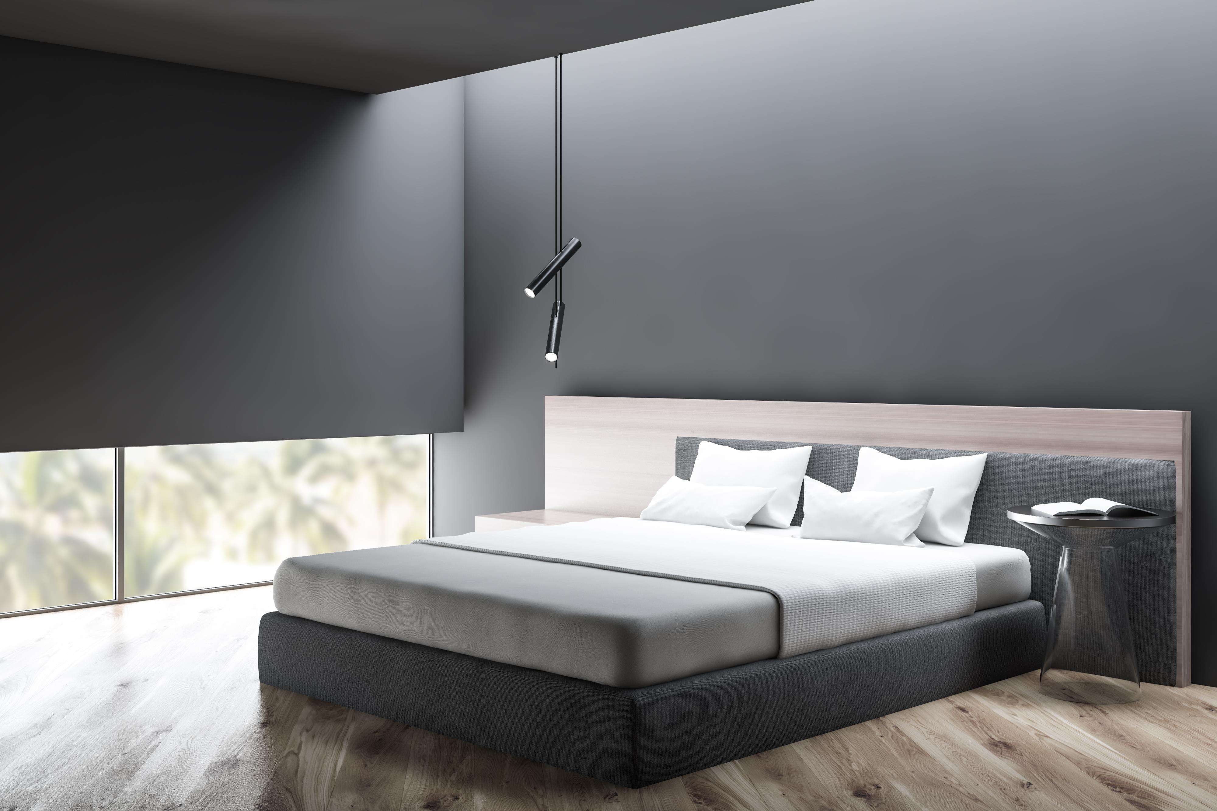 Modern Minimalist Master Bedroom