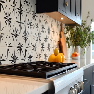 Mid-Century Modern Ceramic Black And White Kitchen Tile Design With 8-Pointed Star Motif