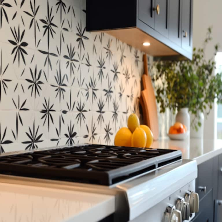 Mid-Century Modern Ceramic Black And White Kitchen Tile Design With 8-Pointed Star Motif