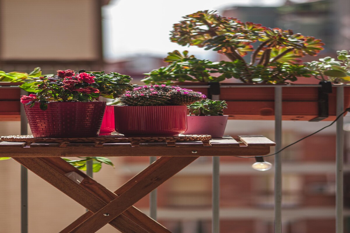 Simple Rustic Balcony Design with Planters Simple Rustic Balcony Design with Planters