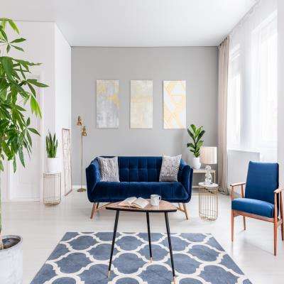Navy Blue Couch Living Room Design With Indoor Plants And Abstract Wall Frames