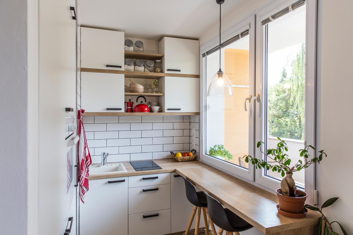 Tiny White Modern Kitchen