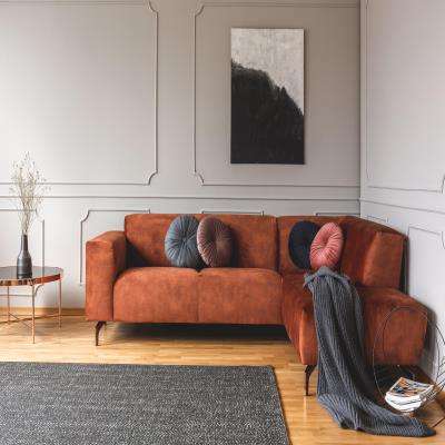 Contemporary Brown Sofa Living Room