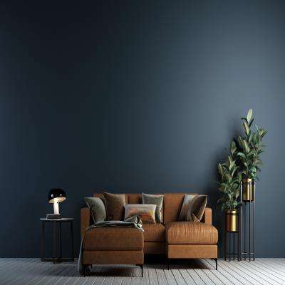 Black Walled Living Room