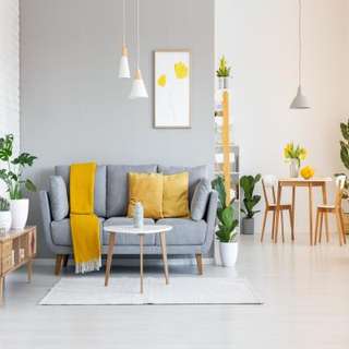 Sunny Living Room Furniture