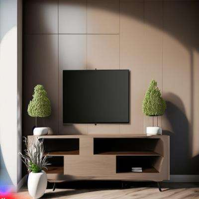 Minimalistic TV Unit Design in Brown Laminate