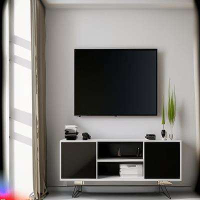 Simple and Chic Modern TV Unit Design in Black and White