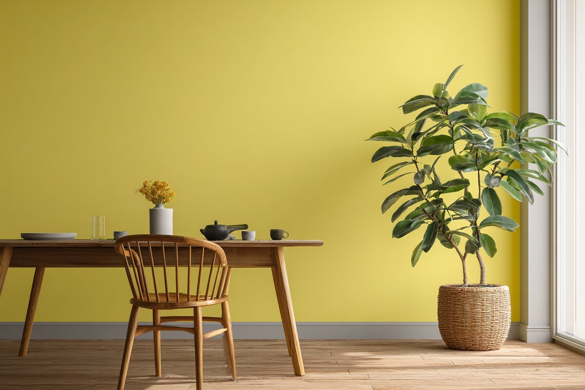 Bright Lime Yellow Wall Paint Design for a Contemporary Look Bright Lime Yellow Wall Paint Design for a Contemporary Look