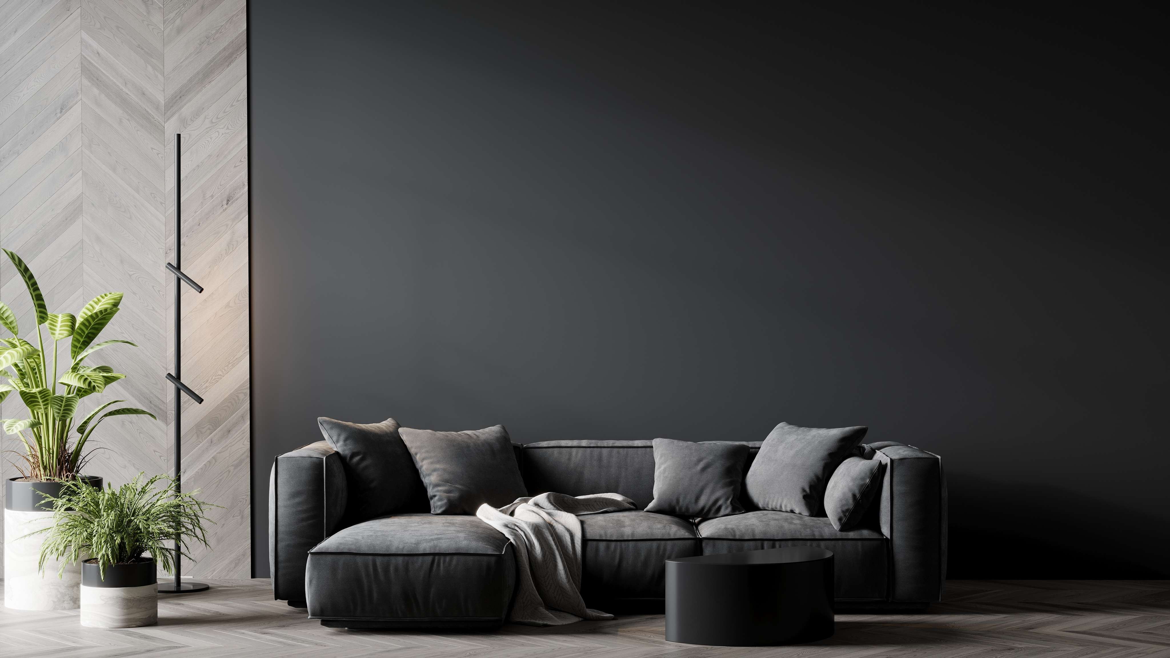 Minimalistic Dark Grey Couch Living Room